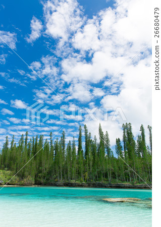 Pischenne Naturre (New Caledonia Ile des Pins) Pischenne Naturre (New Caledonia Ile des Pins) 26680479
