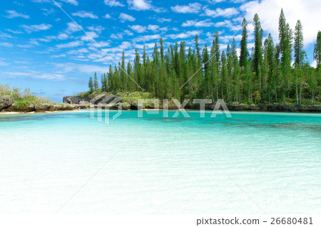 Pischenne Naturre (New Caledonia Ile des Pins) 26680481
