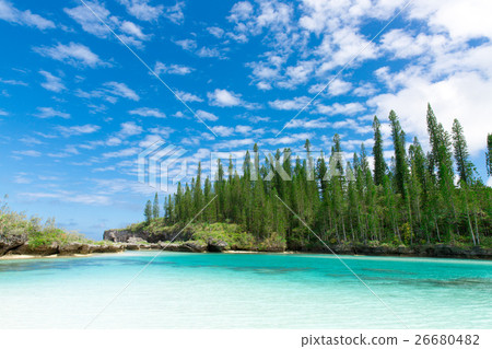 Pischenne Naturre (New Caledonia Ile des Pins) 26680482