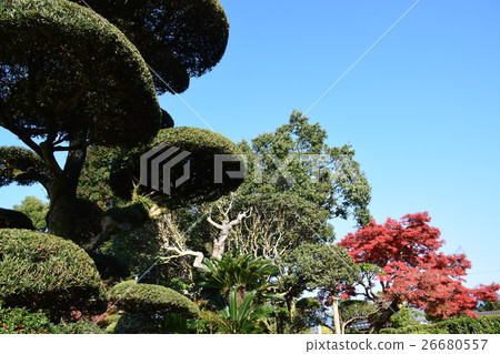 Autumn of samurai residence Izumi City Atsuhime location sdgs Natural material Sustainable Sustainable carbon neutral Autumn of samurai residence Izumi City Atsuhime location sdgs Natural material Sustainable Sustainable carbon neutral 26680557