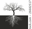Apple tree without leaves with roots 26682517