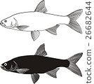 Asp, fish predator 26682644