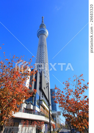 秋葉和東京天空樹 26683320