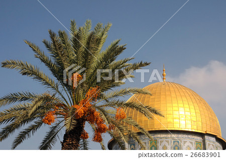 Dome of the Rock Mosque and Palm Tree Dome of the Rock Mosque and Palm Tree 26683901