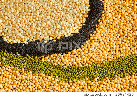 Cereal Grains , Seeds, Beans background Cereal Grains , Seeds, Beans background 26684426