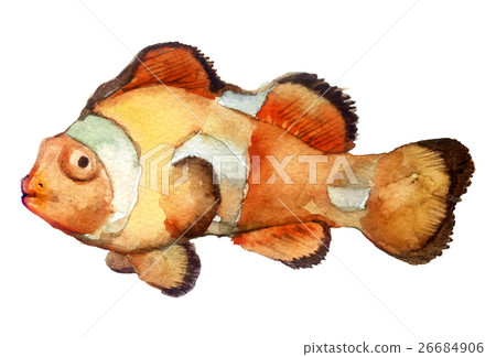 watercolor sketch: a fish on a white background - Stock Illustration ...
