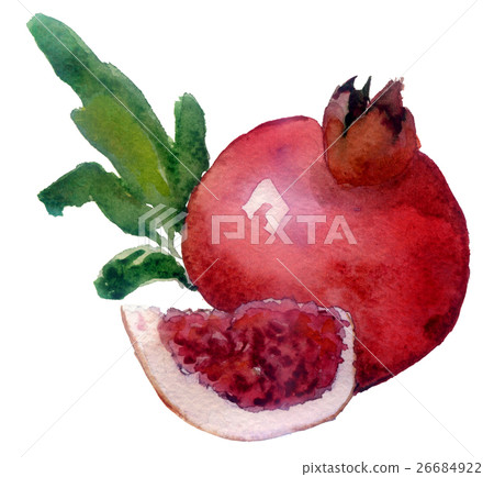 hand drawn watercolor painting fruit garnet  26684922