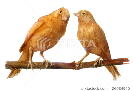 watercolor bird on a branch on a white background watercolor bird on a branch on a white background 26684940