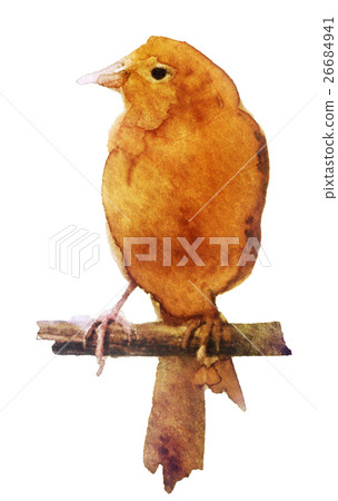 watercolor bird on a branch on a white background watercolor bird on a branch on a white background 26684941