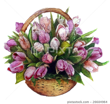 watercolor bouquet of tulips on white background - Stock Illustration ...