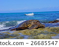 Encounter with sea turtle at Hawaii Oahu Laniakea Beach 26685547