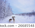 Dog sled running through a snowy mountain in Alaska 26685548