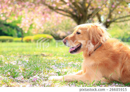 Take a break♪ 26685915