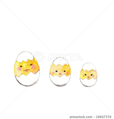 3 egg chicks 26687559