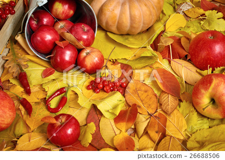 autumn background, fruits and vegetables on leaves autumn background, fruits and vegetables on leaves 26688506