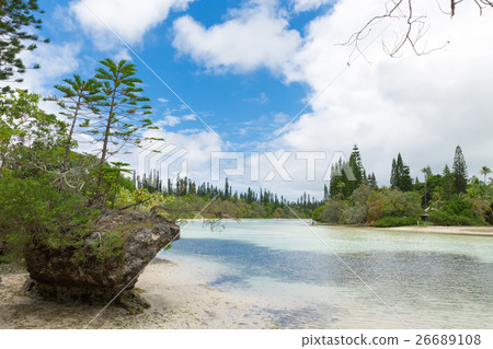 新喀裡多尼亞Ile des Pins 新喀裡多尼亞Ile des Pins 26689108