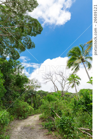 New Caledonia Ile des Pins 26689121