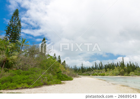 New Caledonia Ile des Pins 26689143