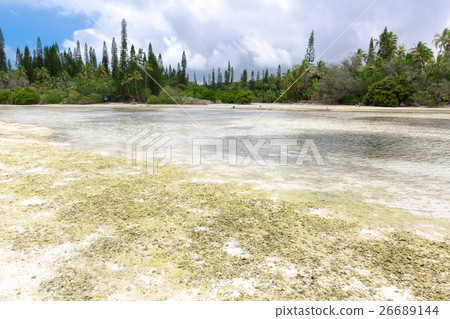 New Caledonia Ile des Pins 26689144