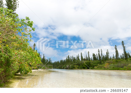 New Caledonia Ile des Pins 26689147