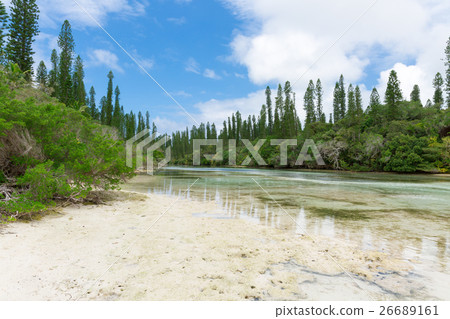 新喀裡多尼亞Ile des Pins 26689161