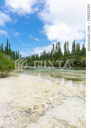 New Caledonia Ile des Pins 26689164
