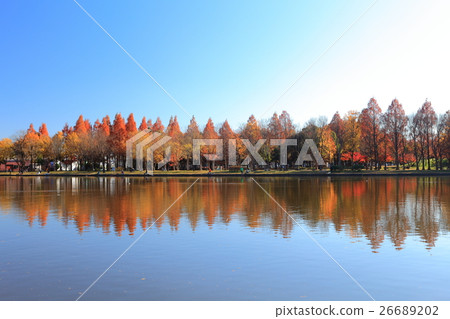 Mizumoto公園（美里公園）的秋葉 26689202