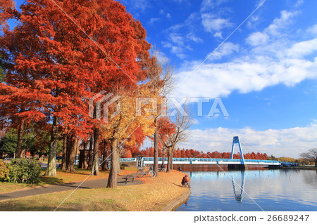 Mizumoto Ohashi和Mizumoto公園的秋葉 26689247