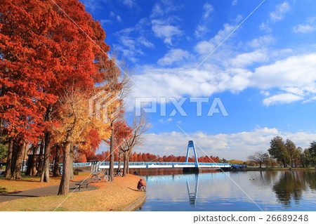 Mizumoto Ohashi和Mizumoto公園的秋葉 26689248