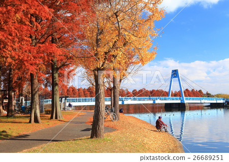 Mizumoto Ohashi和Mizumoto公園的秋葉 26689251