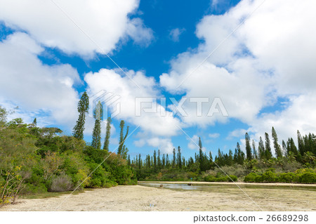 New Caledonia Ile des Pins New Caledonia Ile des Pins 26689298