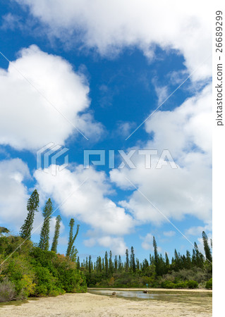 新喀裡多尼亞Ile des Pins 新喀裡多尼亞Ile des Pins 26689299