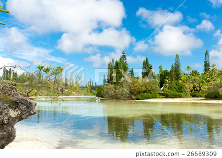 New Caledonia Ile des Pins 26689309