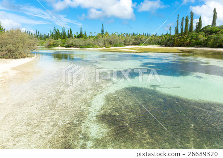 New Caledonia Ile des Pins New Caledonia Ile des Pins 26689320