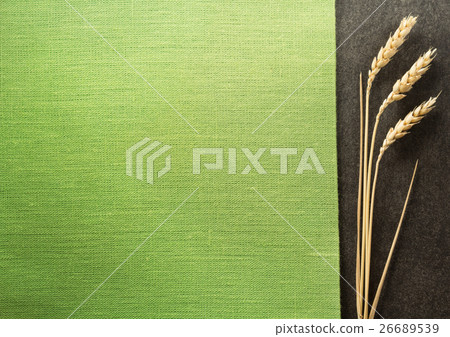 ears of wheat on black background ears of wheat on black background 26689539