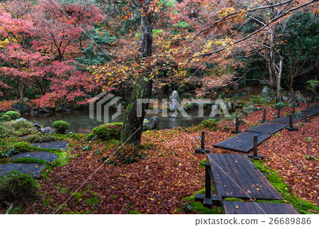 京都蓮花寺在秋天 京都蓮花寺在秋天 26689886