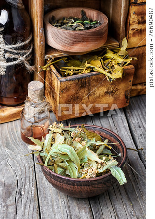 Harvest of medicinal herb 26690482