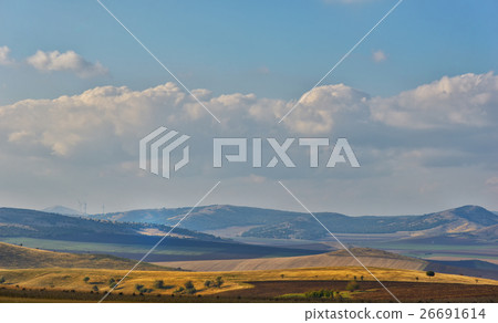 landscape with blooming fields in summer 26691614