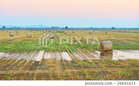 sunset over farm field with hay bales 26691615
