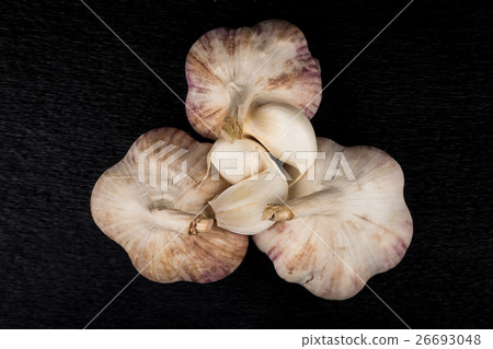 Garlic bulb on dark background Garlic bulb on dark background 26693048