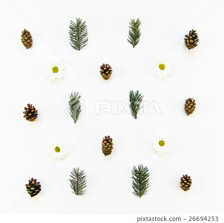 Natural pattern of winter plants. Flat lay, top Natural pattern of winter plants. Flat lay, top 26694253