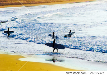 Surfing at sunset Surfing at sunset 26695374