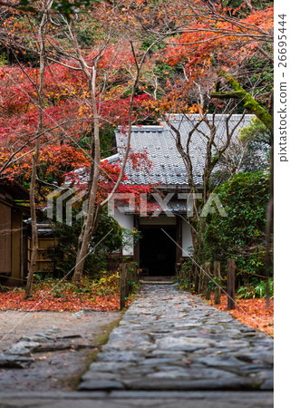 接近秋天的京都Renka-ji寺廟 接近秋天的京都Renka-ji寺廟 26695444