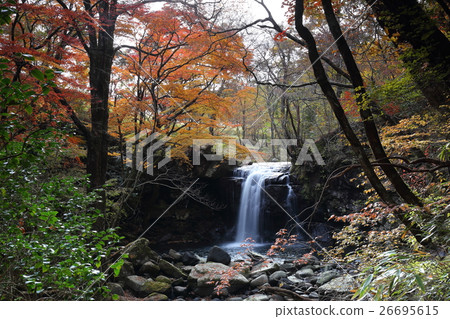 Autumn leaves in the valley 26695615