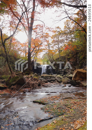 Autumn leaves in the valley 26695618