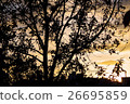 Autumn leaves, autumn, season, feel the four seasons, landscape black and white 26695859