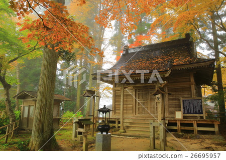 Autumn leaves of Hiraizumi Chusonji, a World Heritage Site Autumn leaves of Hiraizumi Chusonji, a World Heritage Site 26695957