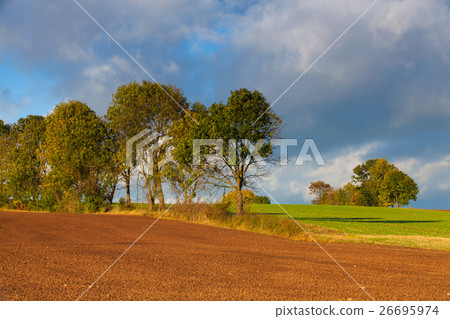 Beautiful autumn landscape of Krkonose mountains 26695974