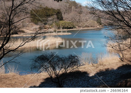 Winter scenery Winter scenery 26696164