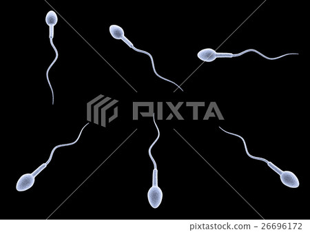 Sperm pattern Sperm pattern 26696172